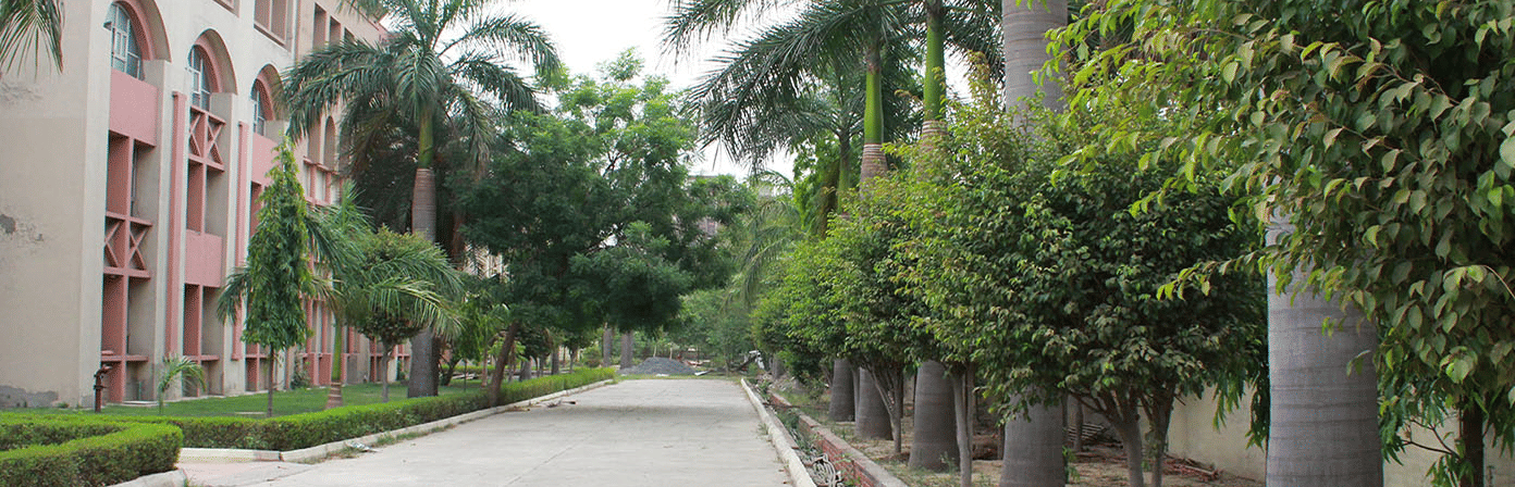 Greater Noida Institute of Technology, IPU Campus View photo 2